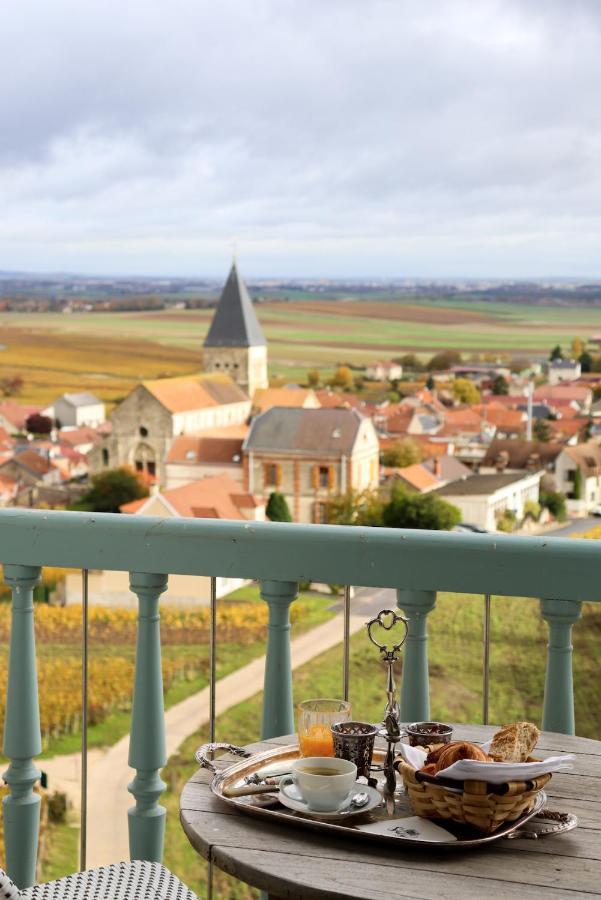 Chateau De Sacy Luaran gambar