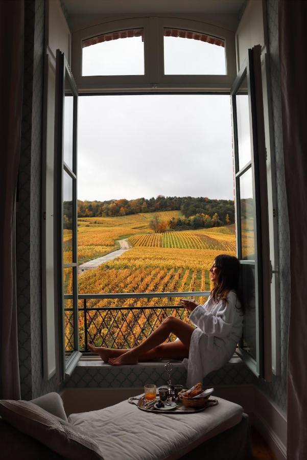 Chateau De Sacy Luaran gambar