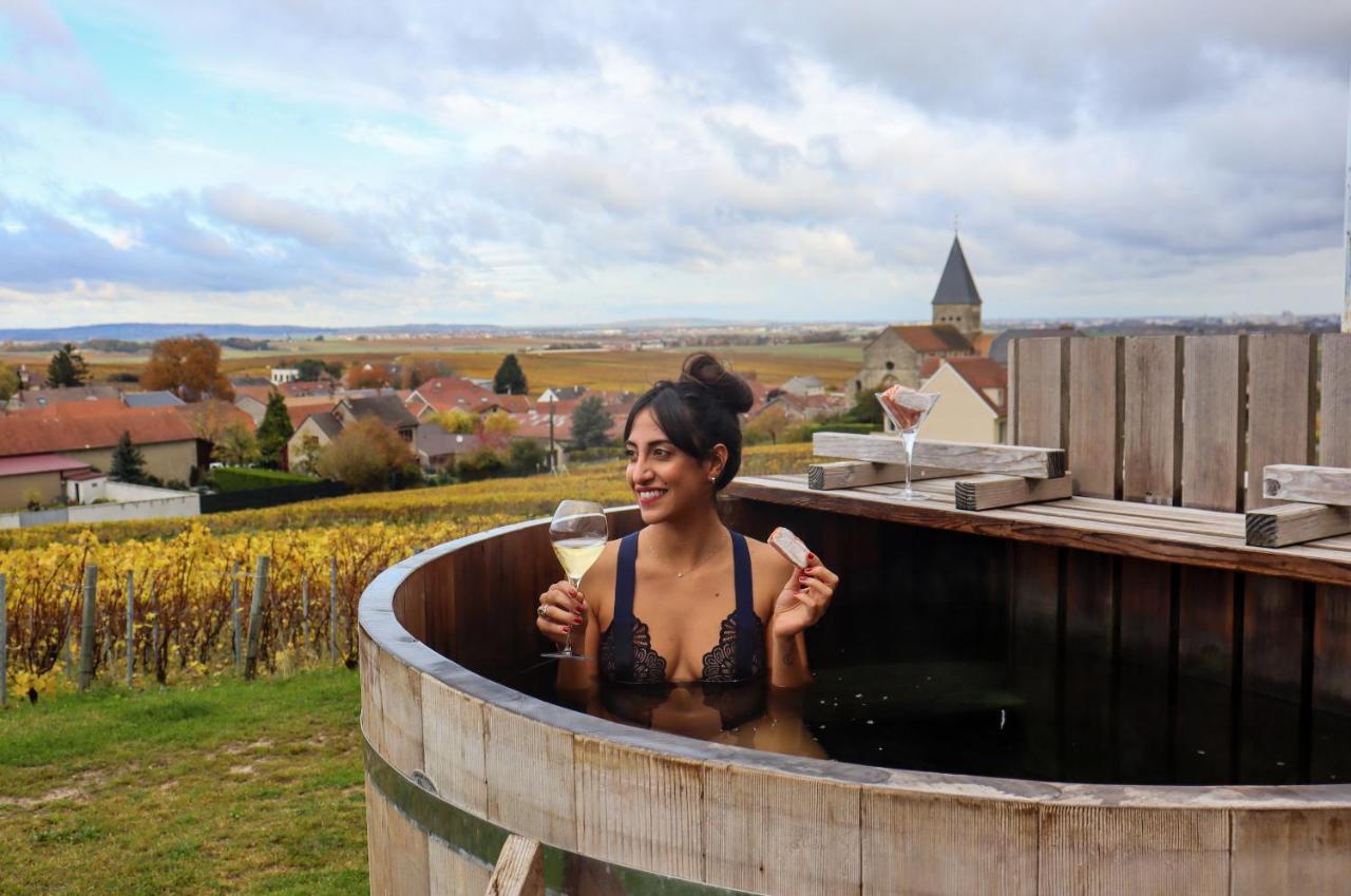 Chateau De Sacy Luaran gambar