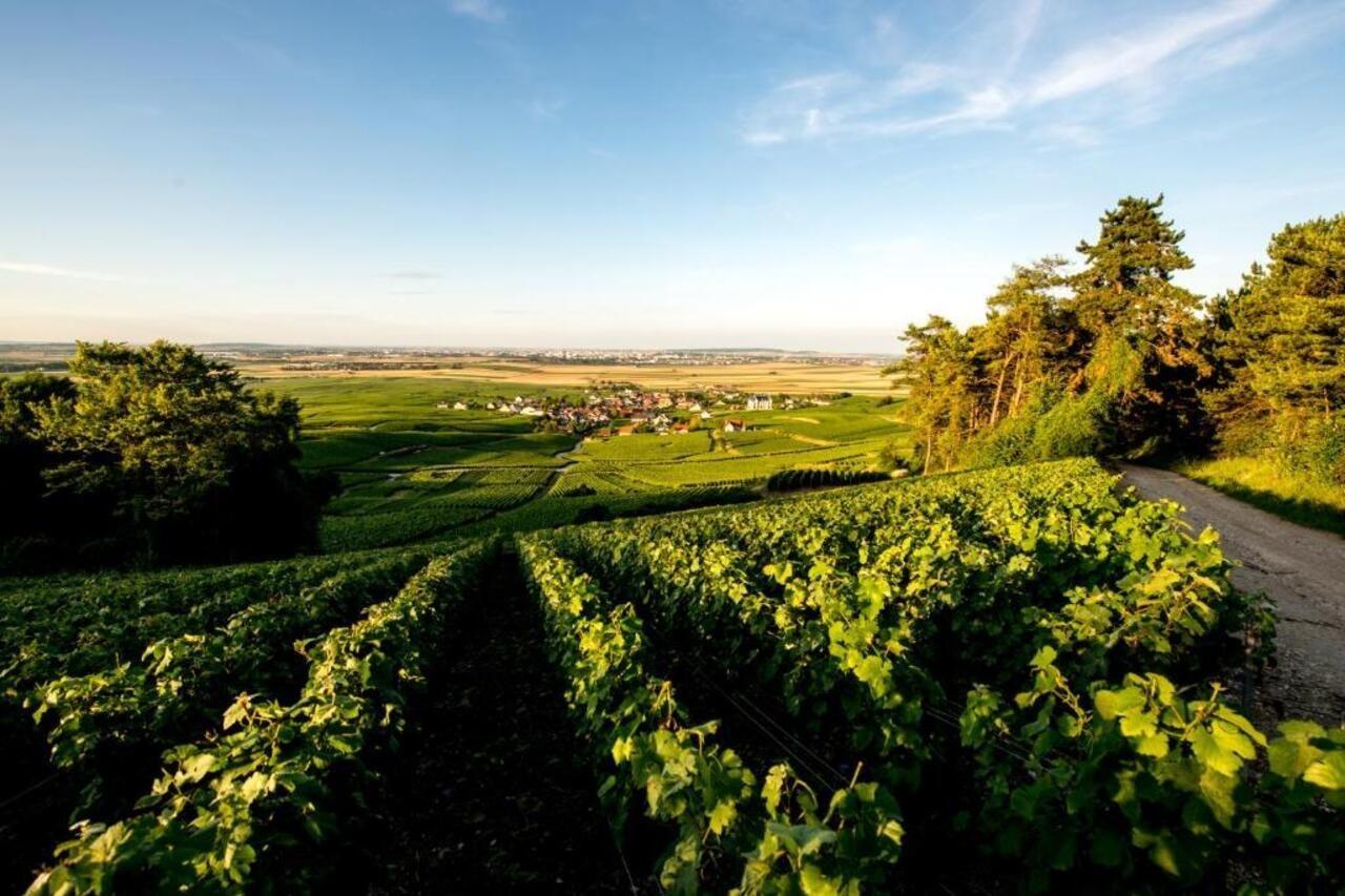 Chateau De Sacy Luaran gambar
